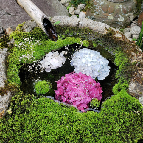 Flowers are used to decorate a wash basin at Yokoku-ji.