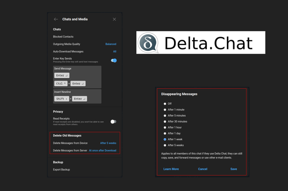 Shows some deltachat configurations and the deltachat logo. 
Focus on the configuration “Delete old messages” (from the device and from the server) and “ Disappearing messages”.