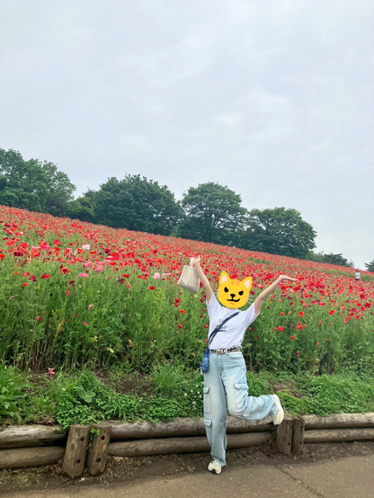 ポピー畑とわたくし