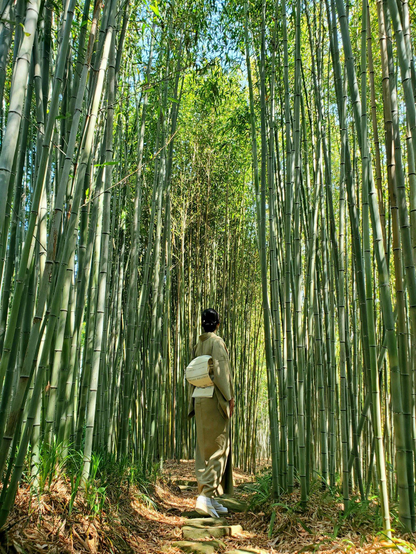 Atsuko-san almost blends in amongst the bamboo in her green kimono.