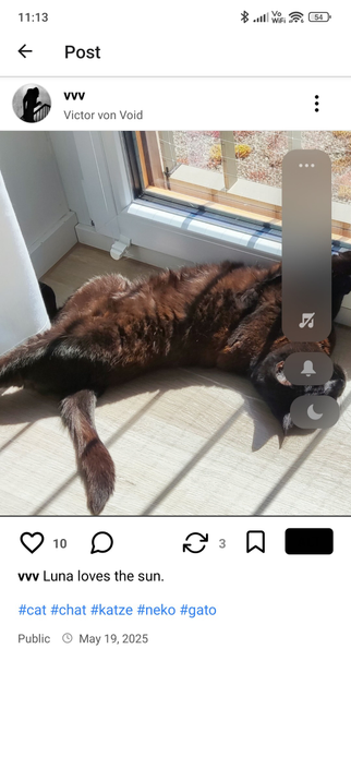 Image of a post from the Pixelfed app where the image is displayed as if it was cropped to a 1:1 aspect ratio