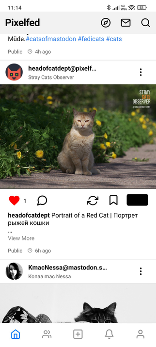 Image of a post from the Pixelfed app of a different user where the image is displayed in the original aspect ratio.