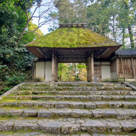 Honen-in's rustic gate.