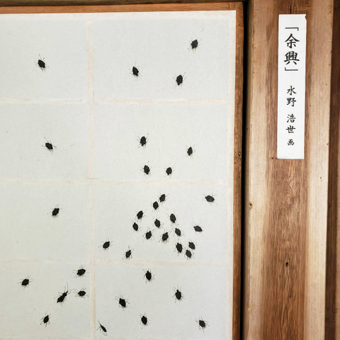 Honen-in's unique shoji, painted with tiny shield bugs.