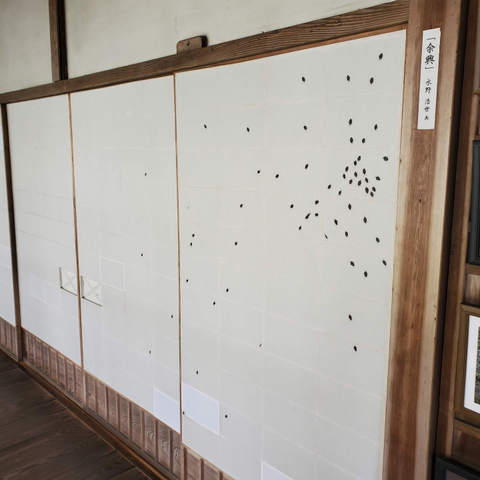 Honen-in's unique shoji, painted with tiny shield bugs.