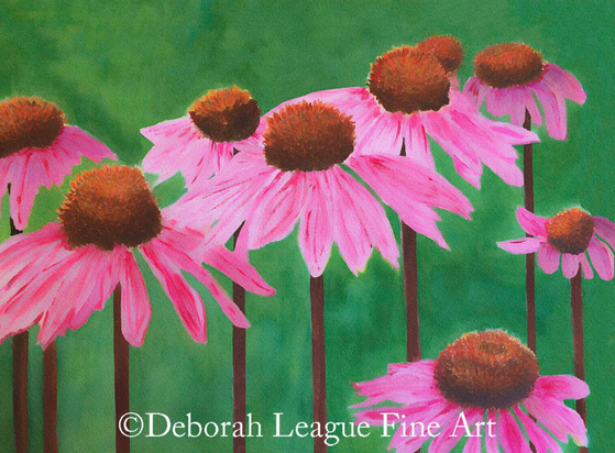 Field of coneflowers, watercolor. These beautiful pink flowers with heavily mounded spiky orange centers sit high atop tall stems and are cultivated in gardens to provide color and attract butterflies, birds, and bees.