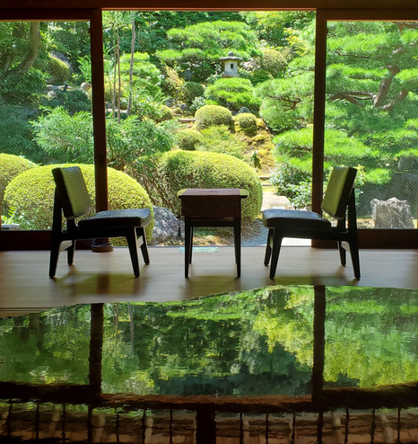 Relaxing amongst gathered green.