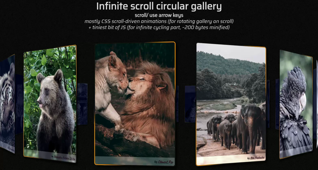 Scrolling a bunch of times back and forth to highlight the infinity part of the demo. Hovering the cards in the gallery makes them rotate around their axis.