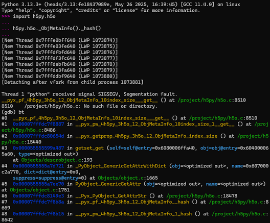 Screenshot of a GDB debug session. It shows a Python console with the code:
```
import h5py.h5o

h5py.h5o._ObjMetaInfo()._hash()
```
Then a message: Thread 1 "python" received signal SIGSEGV, Segmentation fault.

Under this, a colorful backtrace of the crash is shown.