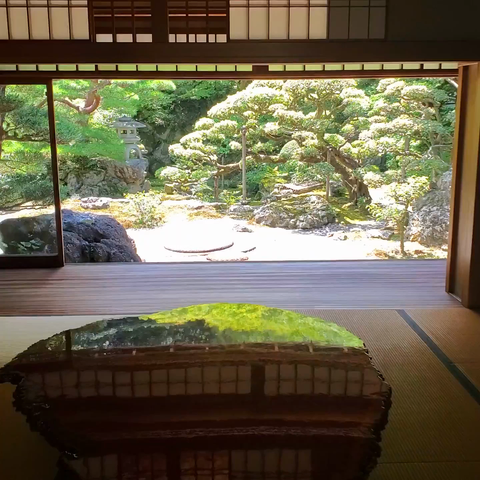 The gorgeously green reflection in the table at Kyutei Omuro.