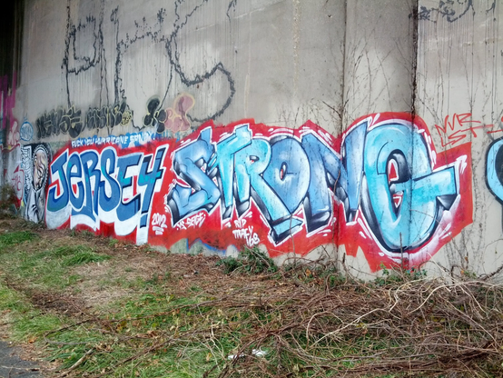 Graffiti from 2012, near Trenton.  From a bike ride.  Small expletive in there.
"Jersey Strong"