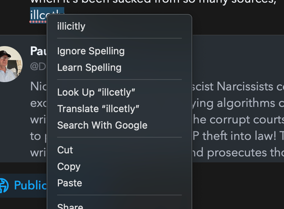 Ui showing misspelled words not being corrected.