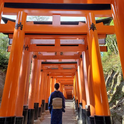 Nao-san amongst the great torii gates of Fushimi Inari.