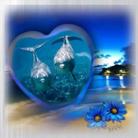 A low-res photo edit with two dolphins facing the camera inside of a heart, edited in front of a scenic beach landscape.