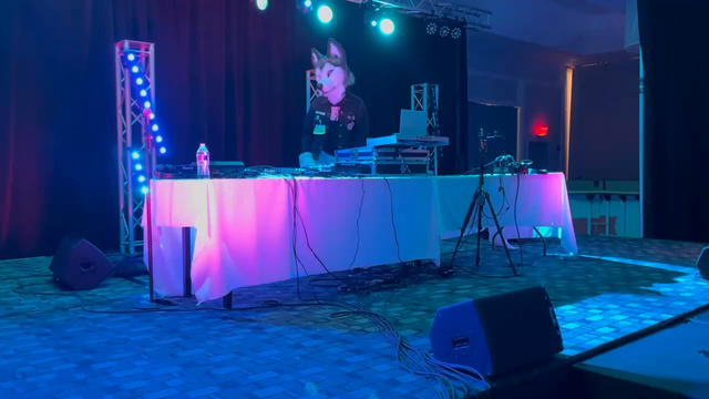 A clip of Huxley DJing Techno from a Ghanaian producer at Furpocalpyse 2022. The crowd is having a good time.