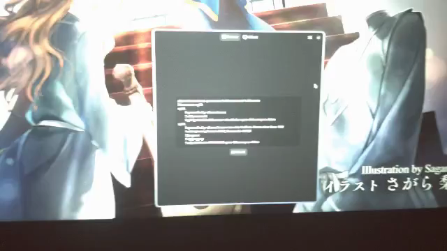 Video demo