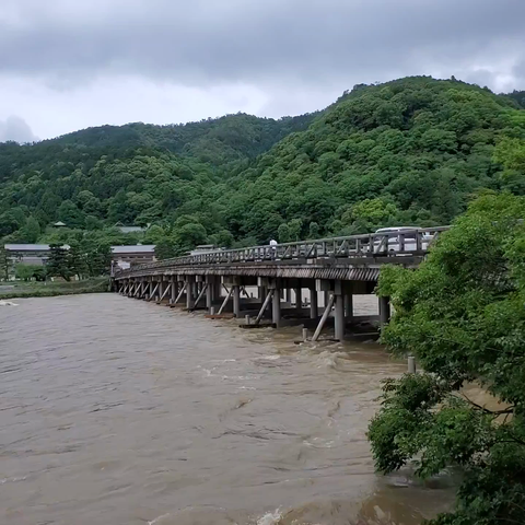 High waters at the Togetsukyo Bridge after heavy rain.
