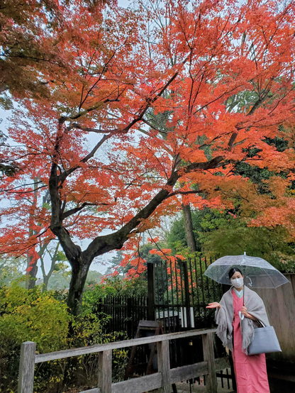 Nao-san on a rainy autumn day at Kitano Tenmangu.