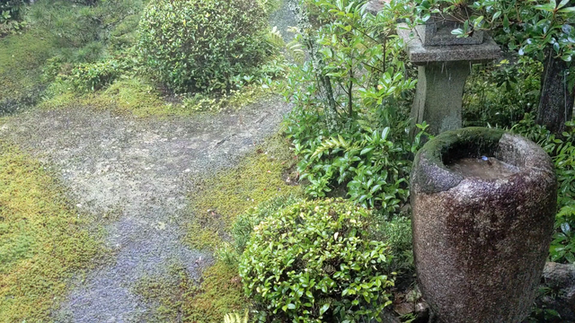 A sudden rain shower at Garden Teahouse.