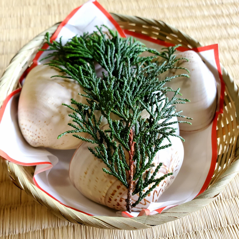 'Hamazuto', a sweet that uses a real shell as a container to hold jelly.