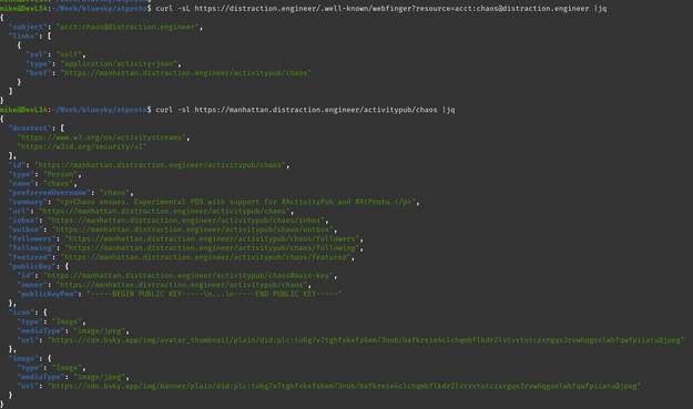 snapshot of two curl requests, the first resolves after a redirect