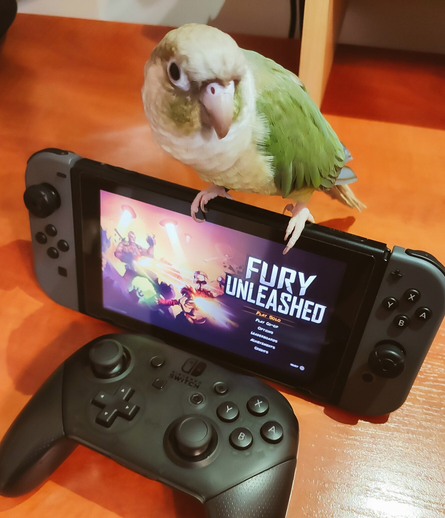 Our Parrot named Tosia sits on a Nintendo Switch console. She's the quality assurance expert in our team.
