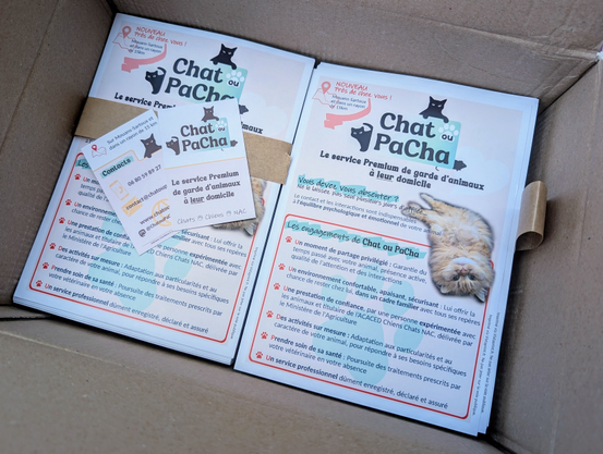 Carton contenant des flyers et cartes de visite Chat ou PaCha.