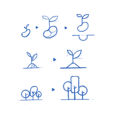 Sketch: organic to geometric shapes.