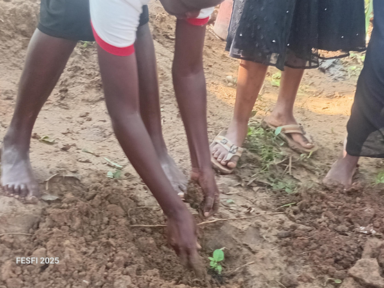 A young farmer putting a plant into soil.