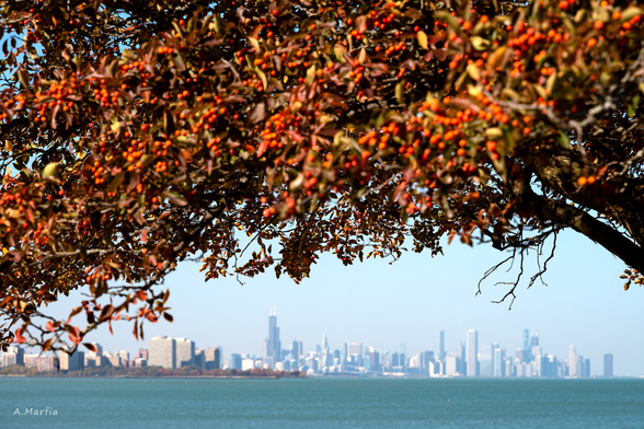 The Chicago skyline as seen from Rainbow Beach, October 2022
