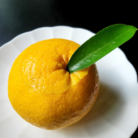 Oimatsu's wonderful natsu mikan, a whole citrus hollowed out and filled with refreshing jelly.