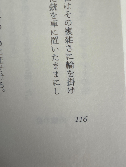 Page 116