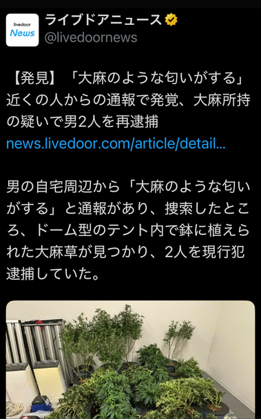 Post from LiveDoor News. JP text: 【発見】「大麻のような匂いがする」 近くの人からの通報で発覚、大麻所持の疑いで男2人を再逮捕
https://news.livedoor.com/article/detail/29030581/

男の自宅周辺から「大麻のような匂いがする」と通報があり、捜索したところ、ドーム型のテント内で鉢に植えられた大麻草が見つかり、2人を現行犯逮捕していた。