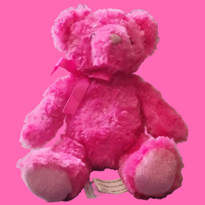 small hot pink teddy bear plushie named Pona atop a hot pink background