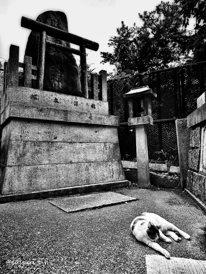 A cat lying on the ground in front of stone statue 