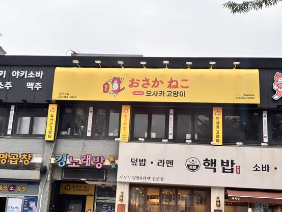 「오사카 고양이」라는 가게 이름이 日本語로 「おさか ねこ」라고 잘못 表記되어 있다.