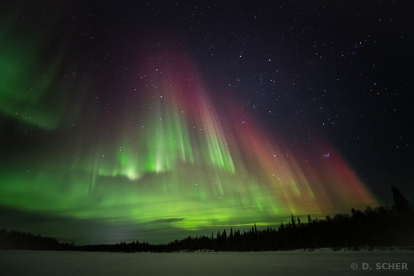 #Aurora #AuroraBorealis #NorthernLights #Finland

A spectacular red and green aurora borealis is lighting up the starry sky above a line of conifers.