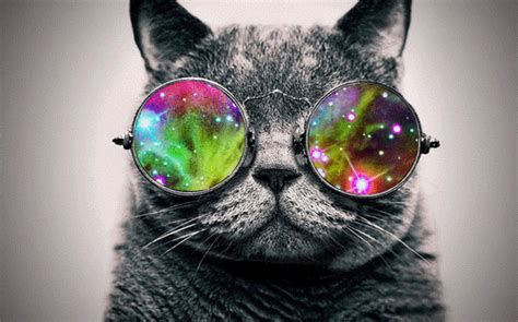 Cat with sunglasses reflecting a well-known Planetary Nebula