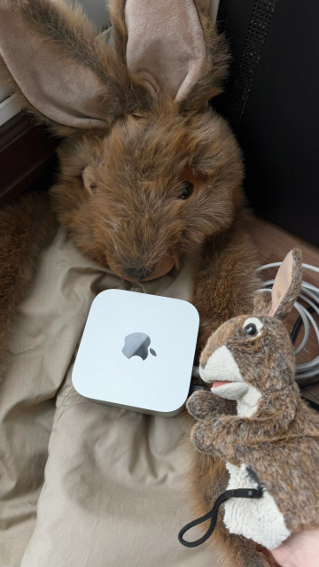 Mac mini, rabbit puppet