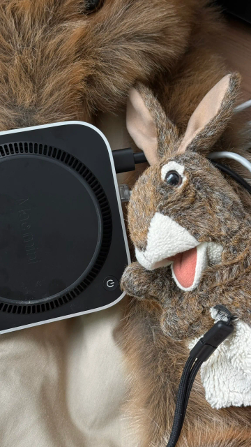 Mac mini, rabbit puppet
