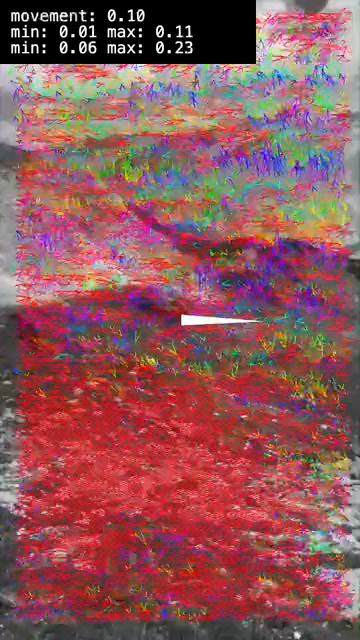 Test video (a recent POV hiking clip posted a few days ago) showing optical flow information via color-coded overlaid field vectors. The white arrow/triangle in the center shows the current mean flow direction/magnitude