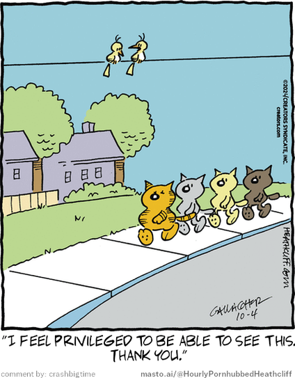 Original Heathcliff comic from October 4, 2024
New caption: "I feel privileged to be able to see this.
Thank you."
Comment by: crashbigtime
A cartoon image shows a group of five cats running down a street, with three of the cats flying alongside a bird. The cats are running from the left side of the street towards the right side, while the two cats flying follow them closely. In the background, a house is visible on the left side of the image, and a sign with text is present, reading "Gordo's Pimp Time", "hourly.hearth/hlt", and "masto/cat", along with an icon of a bird.