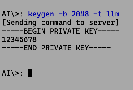 A screenshot of Visual DOS 2024 Tech Preview, showing command line output

AI\>: keygen -b 2048 -t LLM
[Sending command to server]
————-BEGIN PRIVATE KEY-———-
12345678

—————END PRIVATE KEY-————
AI\>: 1
