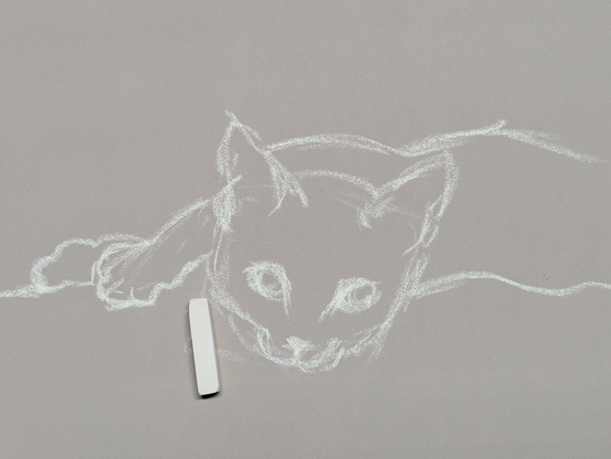 Preliminary drawing of a cat with white pastel chalk on grey toned paper