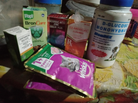 Image shows several pet-related items and medications arranged on a surface, the visible items are:
 * A green and white box labeled "GENTAMICIN SULFATE GENTIN" with some text about "YOUR PETS" and "RESPIRATORY RELIEF."
 * A green box labeled "Papi BronCure," also with a paw print logo, suggesting it's for pets.
 * A red and black box labeled "ASCORBIC ACID ZINC CEELIN' PLUS."
 * An orange and white box labeled "CO-AMOXICLAV CLOVIMED" with an "R" symbol, indicating it's a prescription medication.
 * A large white bottle labeled "D-GLUCOSE MONOHYDRATE WonDEX" with text "WATER SOLUBLE POWDER ENERGY SUPPLEMENT FOR VETERINARY USE ONLY."  
*there are two pouches of "whiskas" cat food, one prominently displaying a grey cat and text "1+ Years OF ADULT CAT." The pouches are purple and pink.
The items appear to be for pet health and nutrition. 