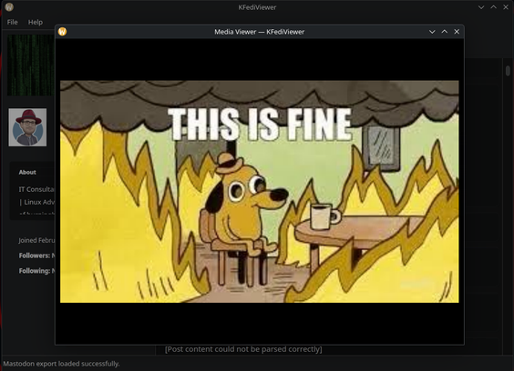 Expanded Image view of  KFediviewer. A local tool to view Mastodon data exports