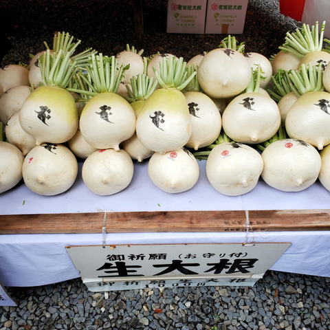 Blessed daikon for sale at Daihoon-ji during the 'Radish Boiling Festival' (大根焚) in December.