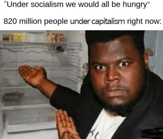 "Under socialism we would all be hungry"

820 million people under capitalism right now:
[Image of a person pointing at an empty fridge]