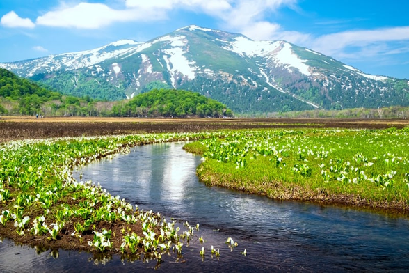 Mt. Shibutsu - Japan National Parks stamp rally. Picture of a large mountain in the background with a stream flowing towards the reader, the stream surrounded by verdant grasses