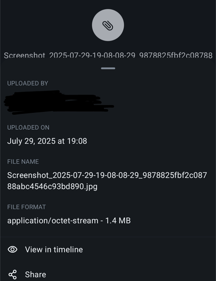 Screenshot from the ElementX app showing  a screenshot ending in JPG but having "file format: application/octet-stream"